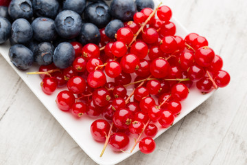 Fresh blueberries and red currant.