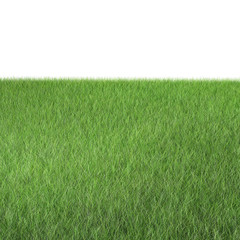 Rasen Textur als 3d Render vor weißem Hintergrund