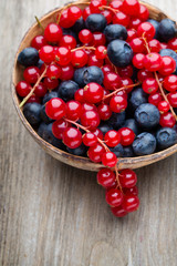 Fresh blueberries and red currant.