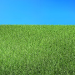 Naturlandschaft mit Gras und Himmel Render 
