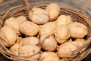 Walnüsse, Nüsse, Korb, geerntet