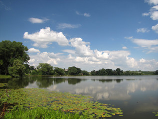 Obraz premium Pond in Zbarazh