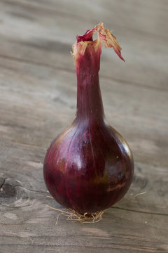 Sweet red onion on the background of an old wooden table