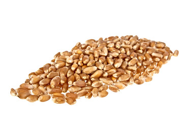 Fototapeta premium Grain of the wheat on a white background