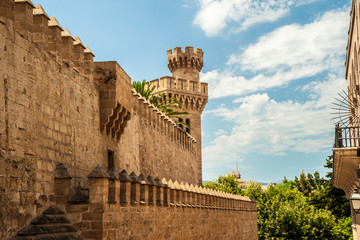 Almudaina palace  © romas_ph