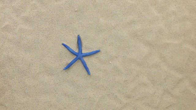 Blue starfish and her prints blown away by wind.