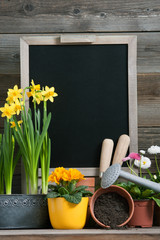 Frühlingsblumen, Gartenwerkzeuge und Tafel