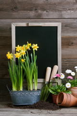 Frühlingsblumen, Gartenwerkzeuge und Tafel