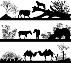 Fototapeta na wymiar wild animals (lion, horse, pony, zebra, camel) in different habi