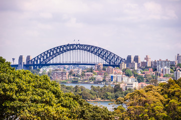 Harbour Bridg