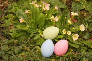 Easter eggs on spring flowers field