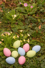 Easter eggs on spring flowers field