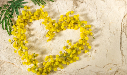 Мимоза на каменном фоне к международному женскому дню 8 марта и пасхе