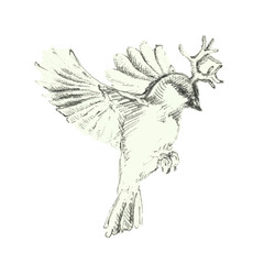 Fototapeta premium Bird with corns