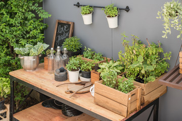 gardening tools on wooden table