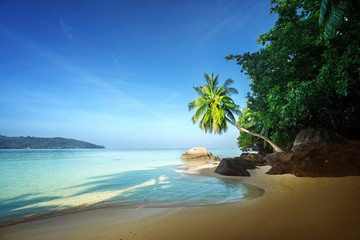 early morning, Seychelles beach