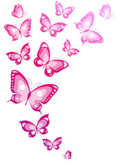 butterflies design