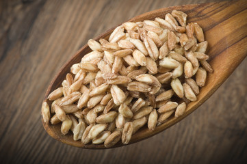 Spoon of Raw Organic Spelt Grain close up on a table