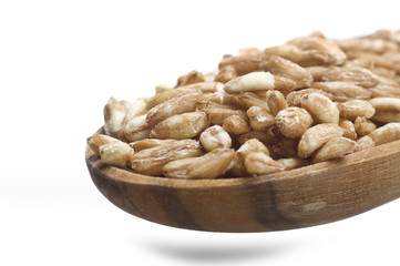 Spoon of Raw Organic Spelt Grain close up on the white