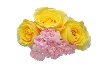 カーネーションと薔薇