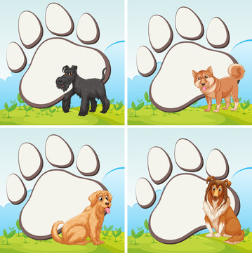 Frame design with domestic dogs