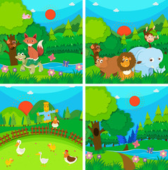 Wild animals in the forest