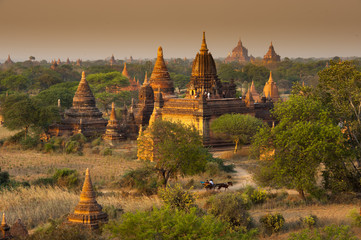 Pagoda under a warm sunset in the plain of Bagan, Myanmar (Burma)