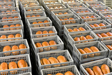 Industriealisierung: Brote zur Auslieferung in einer Großbäckerei // breads in a bakery in crates to delivery