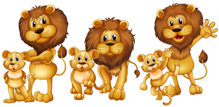 Lion and cub in three actions