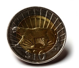 Peso uruguayo ウルグアイ・ペソ urugwajskie Uruguayan Уругвайское песо بيزو أوروغواي 烏拉圭比索 Pesos uruguaiano Uruguayischer Uruguay بيزو اوروجوايى money উরুগুয়ান পেসো 우루과이 페소  currency pesosu coin