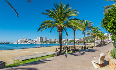 Mid morning sun, walk along the beach near the city.  Warm sunny day along the water's edge in Ibiza, St Antoni de Portmany Balearic Islands, Spain - city by the bay, row of palms lines the beach. - 103676839