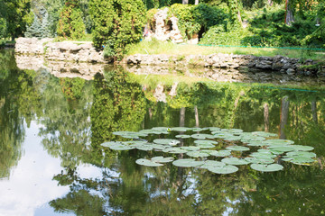 Fototapeta na wymiar Spring Park. Lake in the spring park. Spring landscape. Nature in the national reserve, the picturesque landscape, flowering water lilies on the lake in the park,
