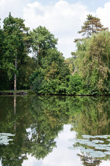 Spring Park. Lake in the spring park. Spring landscape. Nature in the national reserve, the picturesque landscape, flowering water lilies on the lake in the park, 