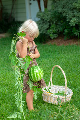 Little girl picking a watermelon