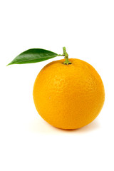 Orange fruit isolated on white background
