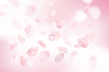 桜 花びら ふわふわ ピンク