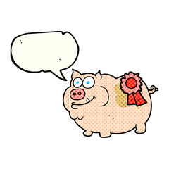 comic book speech bubble cartoon prize winning pig