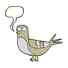 comic book speech bubble cartoon pigeon