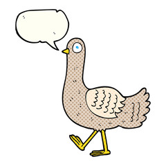 comic book speech bubble cartoon pigeon