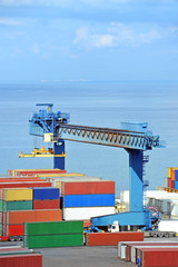 Port cargo crane and container