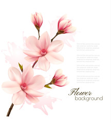 Naklejka premium Spring background with blossom brunch of pink flowers. Vector