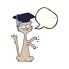 comic book speech bubble cartoon cat with graduation cap