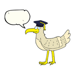 comic book speech bubble cartoon seagull with graduate cap