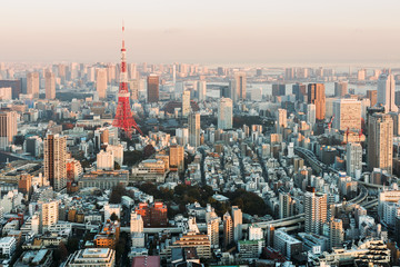 Tokyo Skyline at sunset.