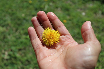 Reconciliation with nature. 