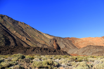 Teide national park in Tenerife, Canary islands, Spain.