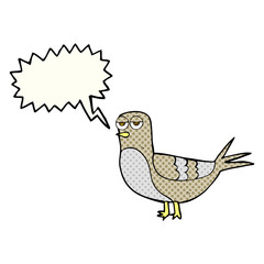 Fototapeta na wymiar comic book speech bubble cartoon pigeon