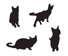 Set of cats Silhouettes isolated on a white background.