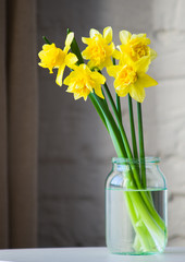 yellow daffodils in glass jar white brick wall background