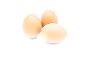 egg isolated